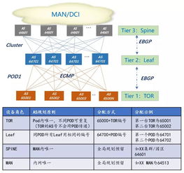 互联网公司大型数据中心BGP路由协议规划与优化策略