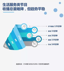 199it 互联网数据资讯中心的数据服务解析